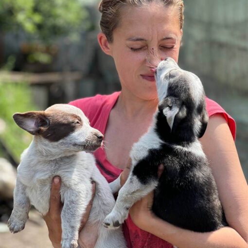 Photo of two puppies and their current caretaker