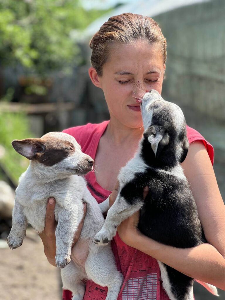 Photo of two puppies and their current caretaker